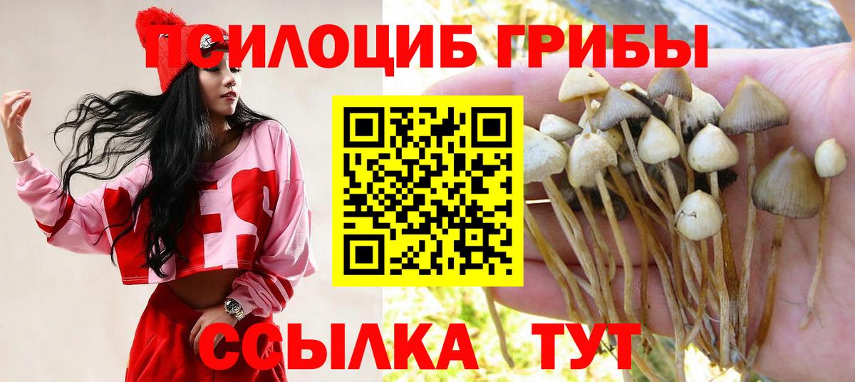 Галлюциногенные грибы MAGIC MUSHROOMS Арсеньев